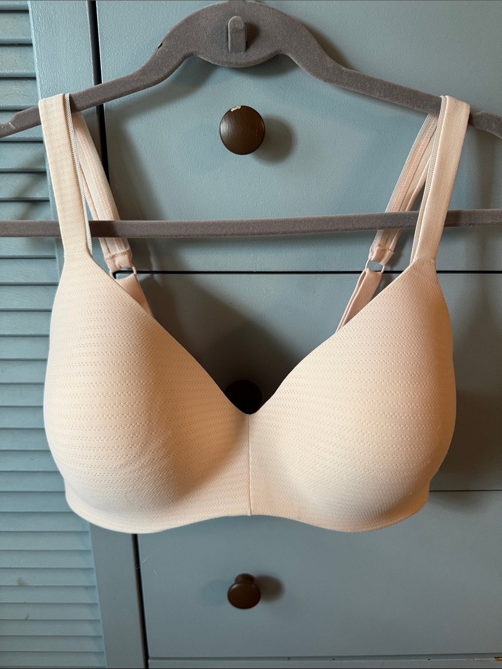 Hanes Beige Light Nude Seamless T-Shirt Bra